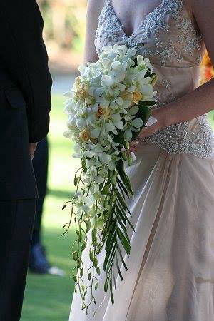www.denisewright.com.au